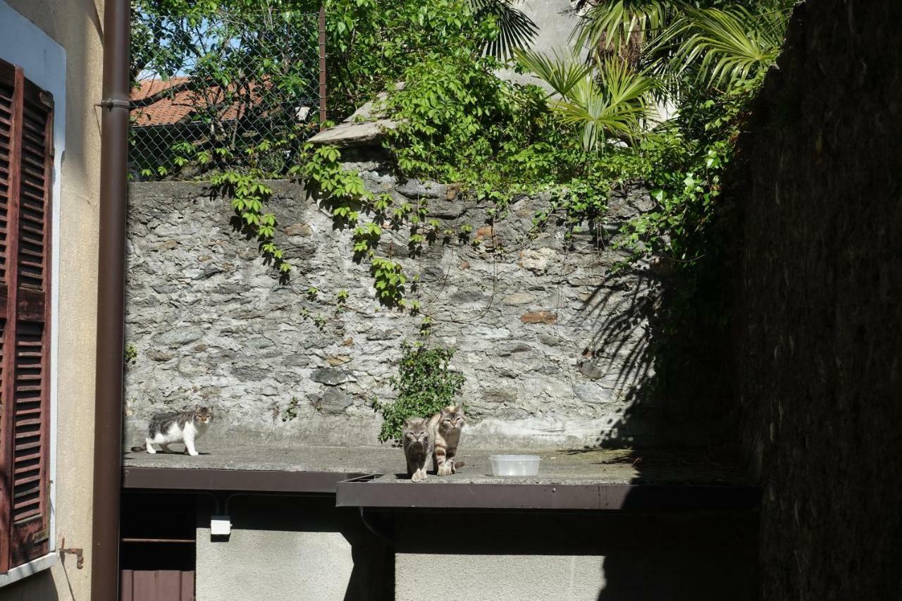 Appartement House Of Cats à Domaso Extérieur photo